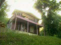 the house