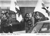 Black Panther Party, Detroit